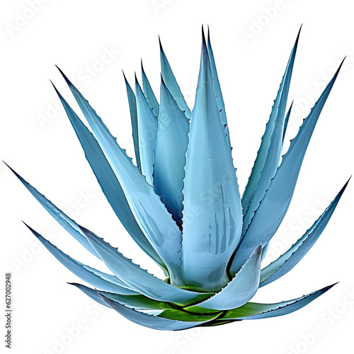 Blue agave aloe vera isolated on transparent background. Generative AI. 