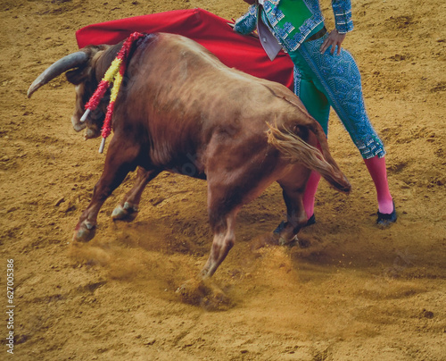 bullfighter in bullfighter's costume gives a natural pass with the crutch to the bull during a bullfight in the last third or third of death.