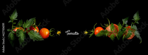Cucumber and tomatoes with flower, leaf and spiral tendril on black background