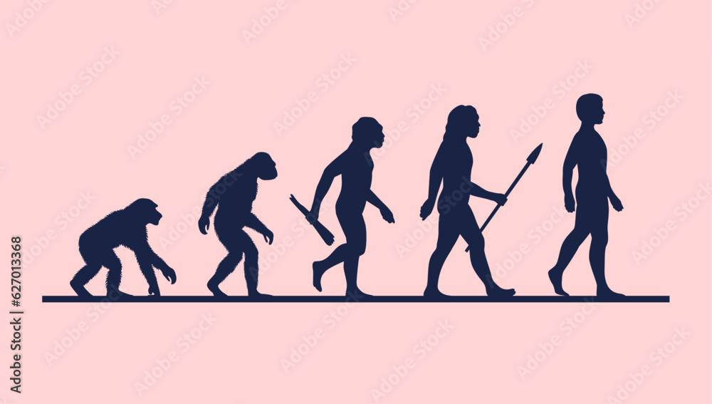 Evolution of man vector illustration - Human evolving from primate modern man
