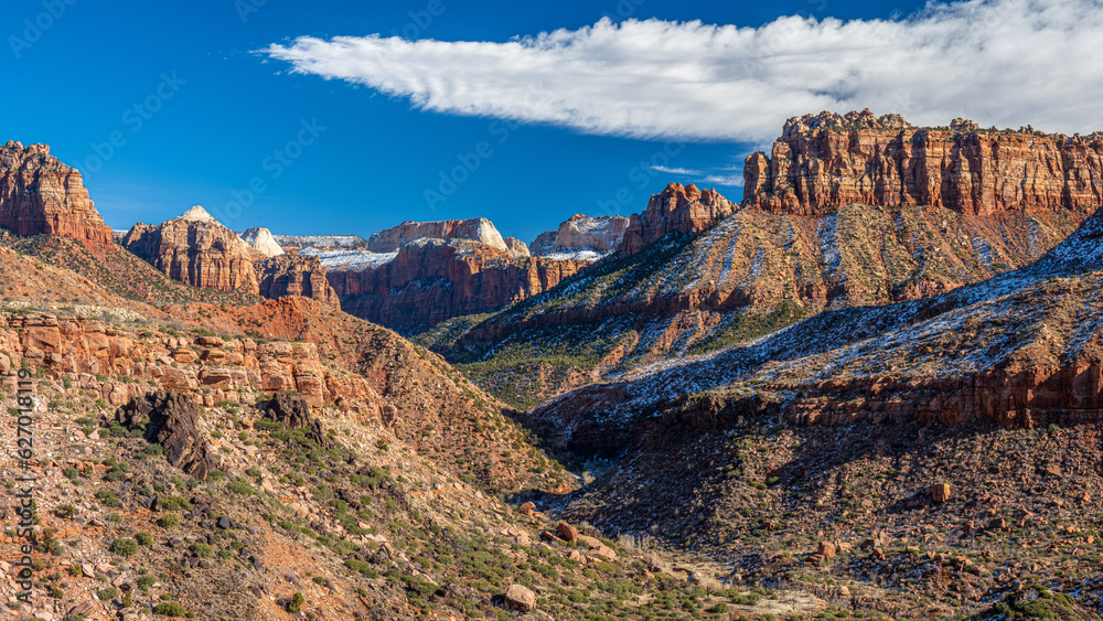 Fototapeta premium Zion National Park, Utah 