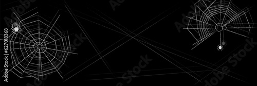 Halloween background with spider web. Abstract textured line cobwebs with spiders isolated on black backdrop. Banner, poster template with copy space. Vector illustration