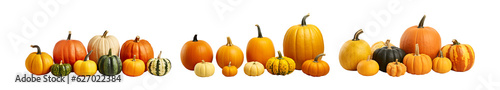 Different types of pumpkin set transparent png background. Pumpkin vegetables png bundle