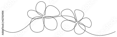 Flower continuous line art drawing. Plumeria one line symbol. Frangipani blossom. Vector illustration isolated on white.