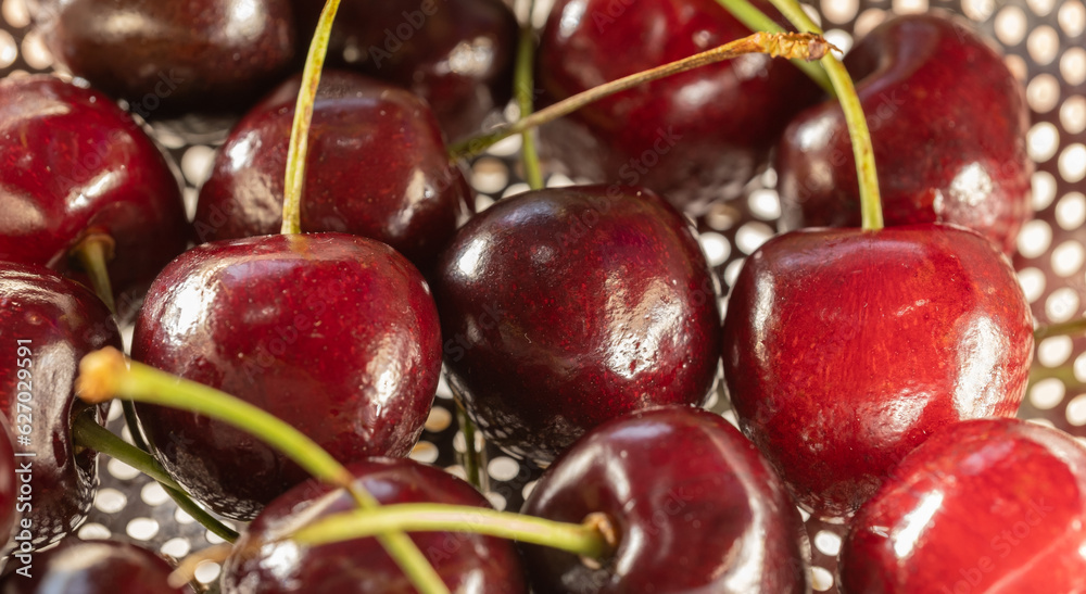 juicy cherries in a metal colander close-up juicy cherries in a metal colander close-up