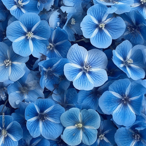 flower background of blue nemophila flowers  © Unicorn Trainwreck