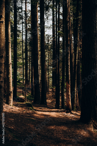 Carpathian Mountains