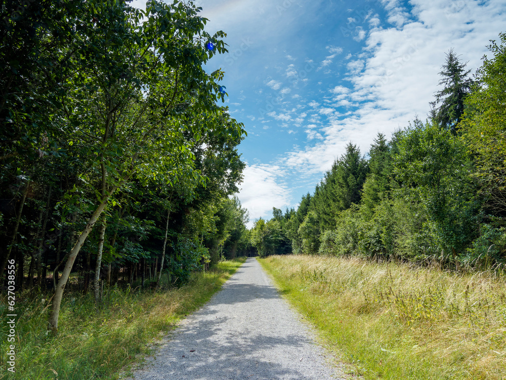 Bernloch Wald. Bondorf im Korngäu oder Oberen Gäu. Landkreis Böblingen. Erholungseffekt und Naturbegehung. Mischwald mit Laub- und Nadelbäumen - Luckenweg