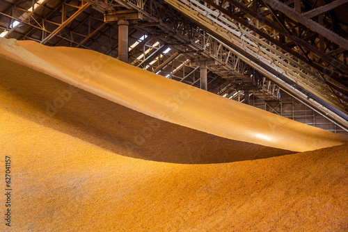 View inside a large corn and grain storage warehouse.