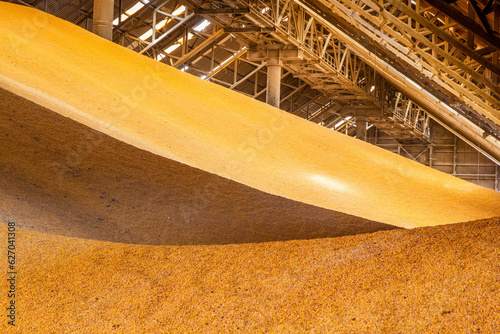 View inside a large corn and grain storage warehouse.