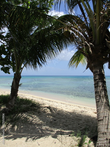 Les palmiers et la plage de sable blanc devant la mer turquoise