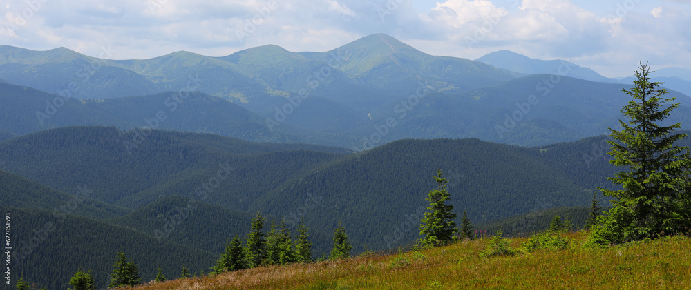 Fototapeta premium Mountain range with a clear blue sky. The mountains are covered in green trees and the foreground has a grassy hill with a few trees.