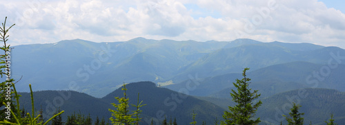 Mountain range with green trees and a valley visible in the center of the image. The mountains are covered in green trees and there are a few small trees and shrubs in the foreground. © Andrii Zastrozhnov