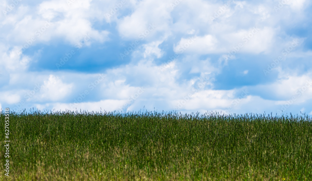 A grass field under blue skies and white clouds in Deerfield Township, Pennsylvania, USA on a sunny summer day A grass field under blue skies and white clouds in Deerfield Township, Pennsylvania, USA on a sunny summer day