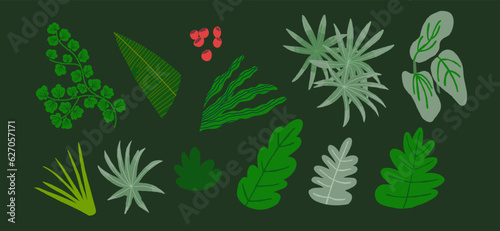 Vector set of flat illustrations of plants  trees  leaves  branches  bushes. Flat cartoon vector illustration. Vector illustration