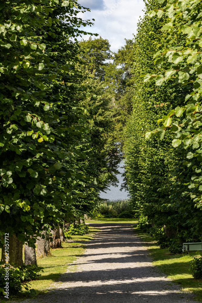 Taxinge, Sweden A tree-lined path leading to the water of Lake Malaren. Taxinge, Sweden A tree-lined path leading to the water of Lake Malaren.