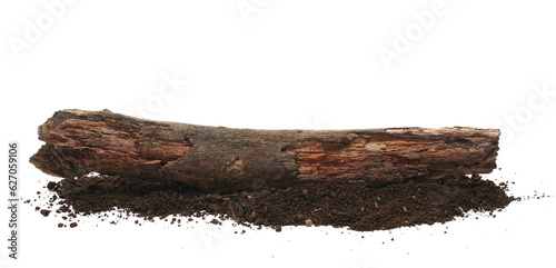 Rotten trunk and dirt isolated on white, side view, clipping path