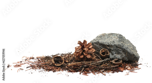 Print op canvas Dry, rotten tree branch and autumn conifer yellow leaves, cone, rock  and needle