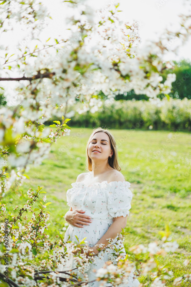 A young pregnant woman in a white dress walks in a blossoming apple orchard. Happy pregnant woman. Happy future mother A young pregnant woman in a white dress walks in a blossoming apple orchard. Happy pregnant woman. Happy future mother