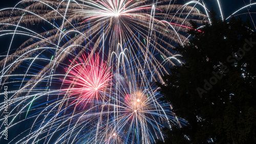 fireworks in the night sky