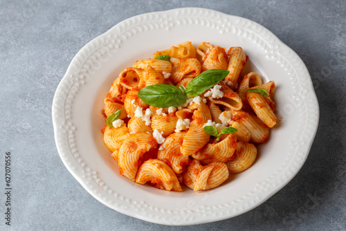 Tomato ravioli pasta or pipe rigate shaped pasta on the cheese