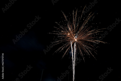 Fireworks on black sky