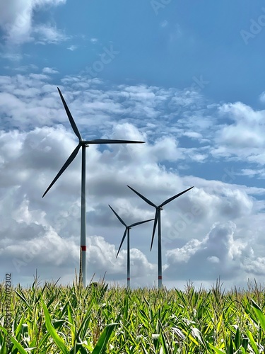 windmills and sky in summer photo