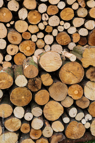 Sorted logs