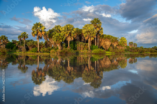 Selous Game Reserve, African Wildlife  Safari, Tanzania
