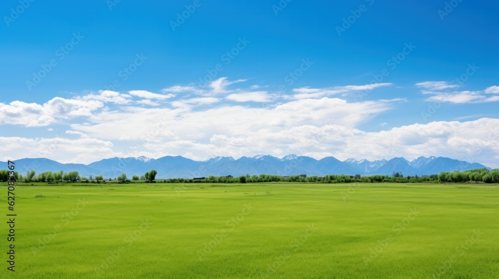 Natural landscape with green grass, mountains, and blue sky