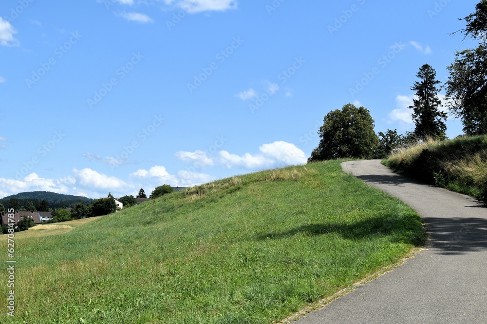 paved narrow road on a hillside near the city of winterthur switzerland