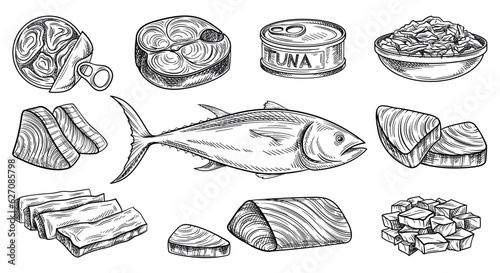 Sketch with sea tuna set. Outline delicious healthy fish fillet and canned food for menus and market. Retro seafood and organic product. Hand drawn vector collection isolated on white background