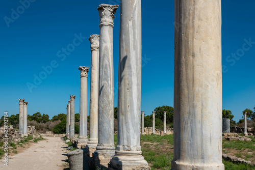 Billede på lærred Columns of Salamis, an ancient Greek city-state on the east coast of Cyprus