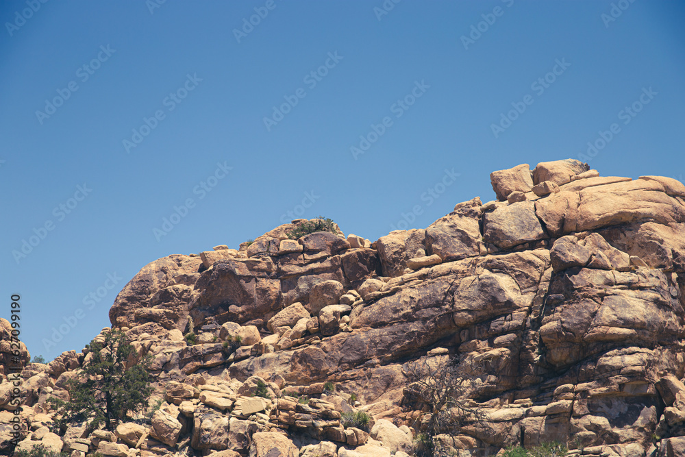 Joshua Tree Rocks
