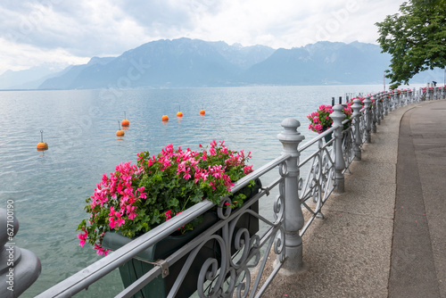 Landscape from town of Vevey to Lake Geneva, Switzerland