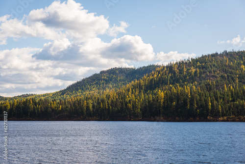 Lake and Larches