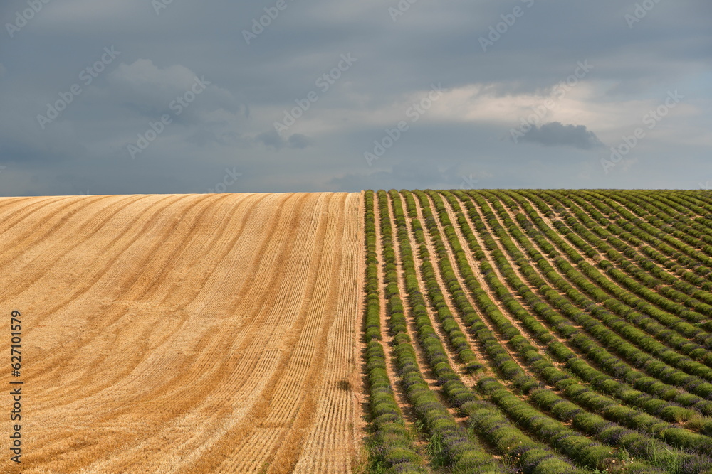 plowed field in autumn plowed field in autumn