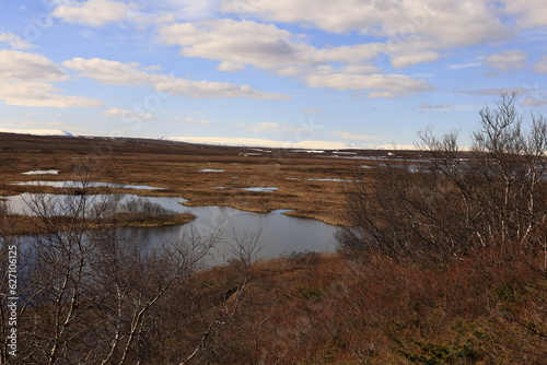 Mývatn is a shallow lake located in an area of active volcanism in northern Iceland, near the Krafla volcano