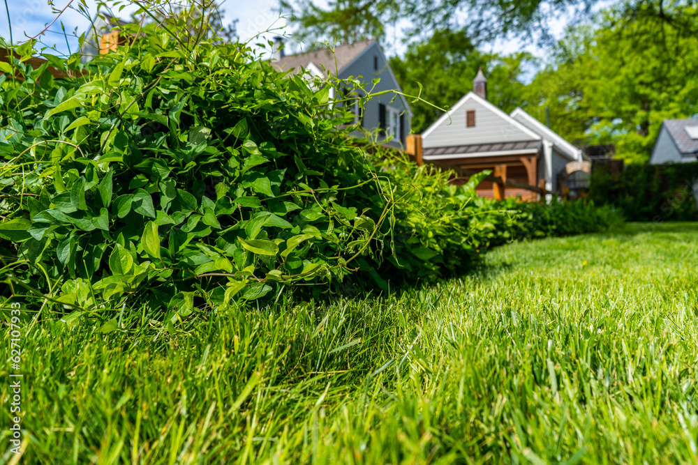 Landscaping Company Tending to A Front Lawn and Flower Bed Cutting Grass and Blowing Debris