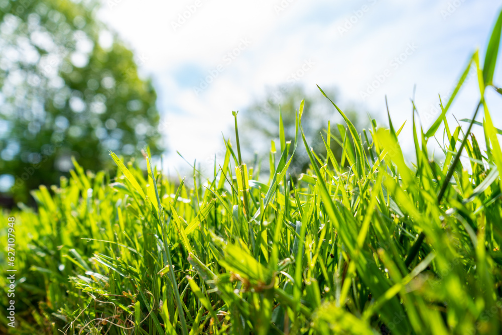 Landscaping Company Tending to A Front Lawn and Flower Bed Cutting Grass and Blowing Debris
