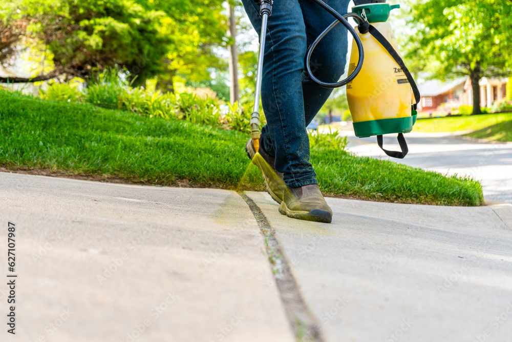 Obraz premium Landscaping Company Tending to A Front Lawn and Flower Bed Cutting Grass and Blowing Debris