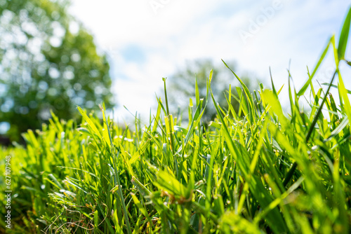 Obraz na płótnie Landscaping Company Tending to A Front Lawn and Flower Bed Cutting Grass and Blowing Debris w salonie