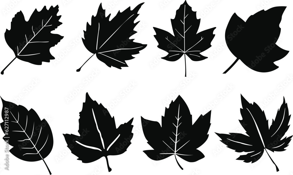 Set of autumn leaves. Set of autumn leaf silhouettes. Autumn leaf icons set. Black and white autumn leaf vectors.