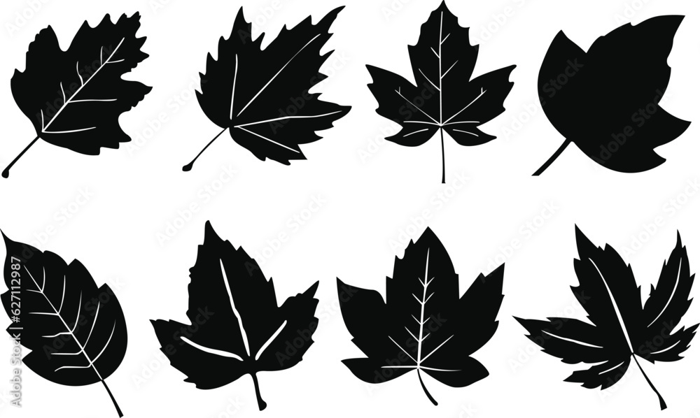 Obraz premium Set of autumn leaves. Set of autumn leaf silhouettes. Autumn leaf icons set. Black and white autumn leaf vectors.