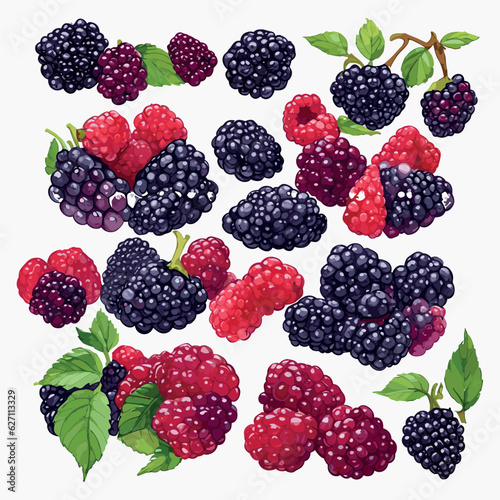 blackberry and raspberry