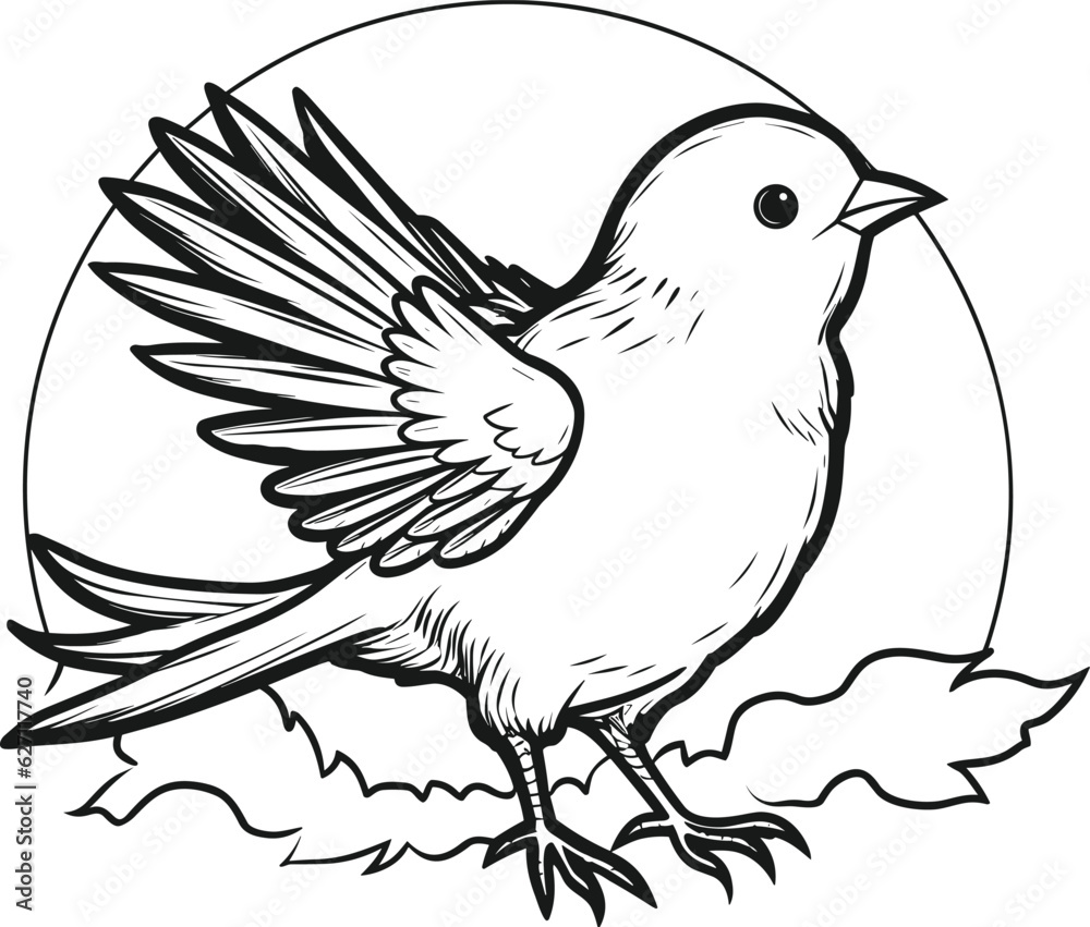 Fototapeta premium birds coloring pages vector animals