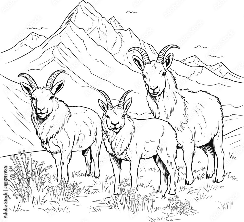 goats in field with mountains coloring pages vector animals