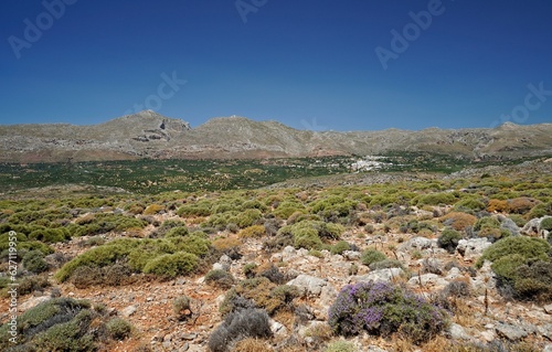 Zakros Village in Crete photo