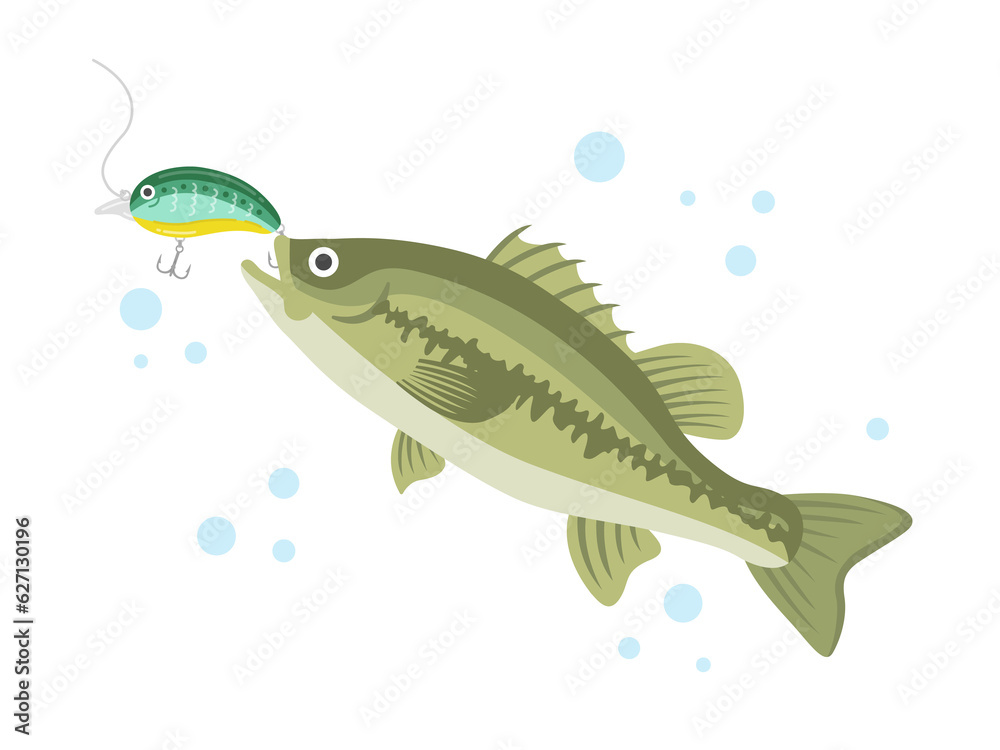 緑色のルアーで釣る、ブラックバスのイラスト 緑色のルアーで釣る、ブラックバスのイラスト