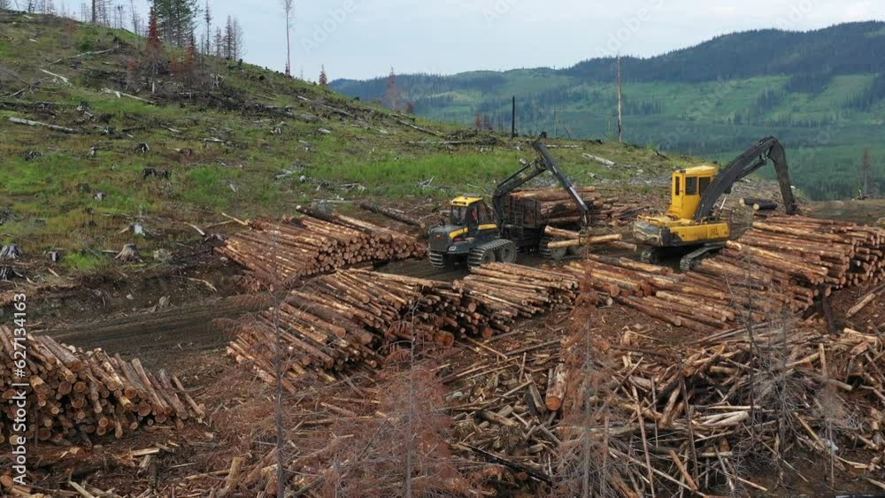Log Forwarder in Action on Forest Road in BC, Canada Log Forwarder in Action on Forest Road in BC, Canada